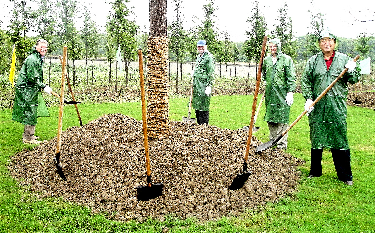 June 22 2012- Tree Planting
